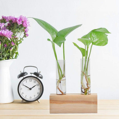 Zerodis Glass Test Tube Flower Pot Elegant Hydroponic Plant Vase Terrarium Container Home Decor for Succulents Miniature Shrubs Ferns Daily Decoration