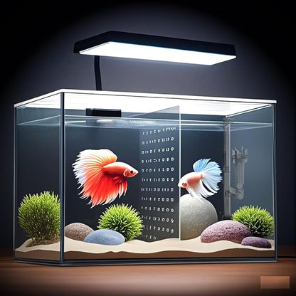 3 Gallon 12.6” L Fish Nano Glass Aquarium, with Separator Plate for Betta, Multi-Functional Square Fish Tank with Filter, LED Light, Black 4mm Glass