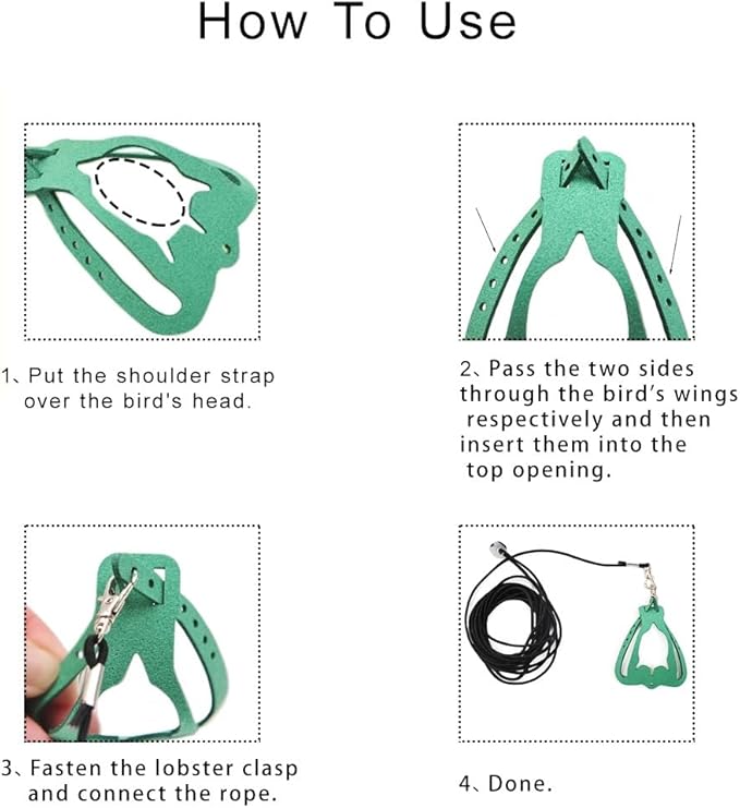 Adjustable Bird Harness & Leash Set for Small Birds,FitsBudgie,Parakeets, Conures, Cockatiels,Green Cheek,Quaker Parrots(Green, M) Z6350-8