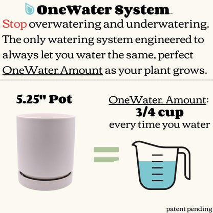 Ceramic Plant Pot and Saucer with OneWater System (5.25" Inches, Cylinder White)