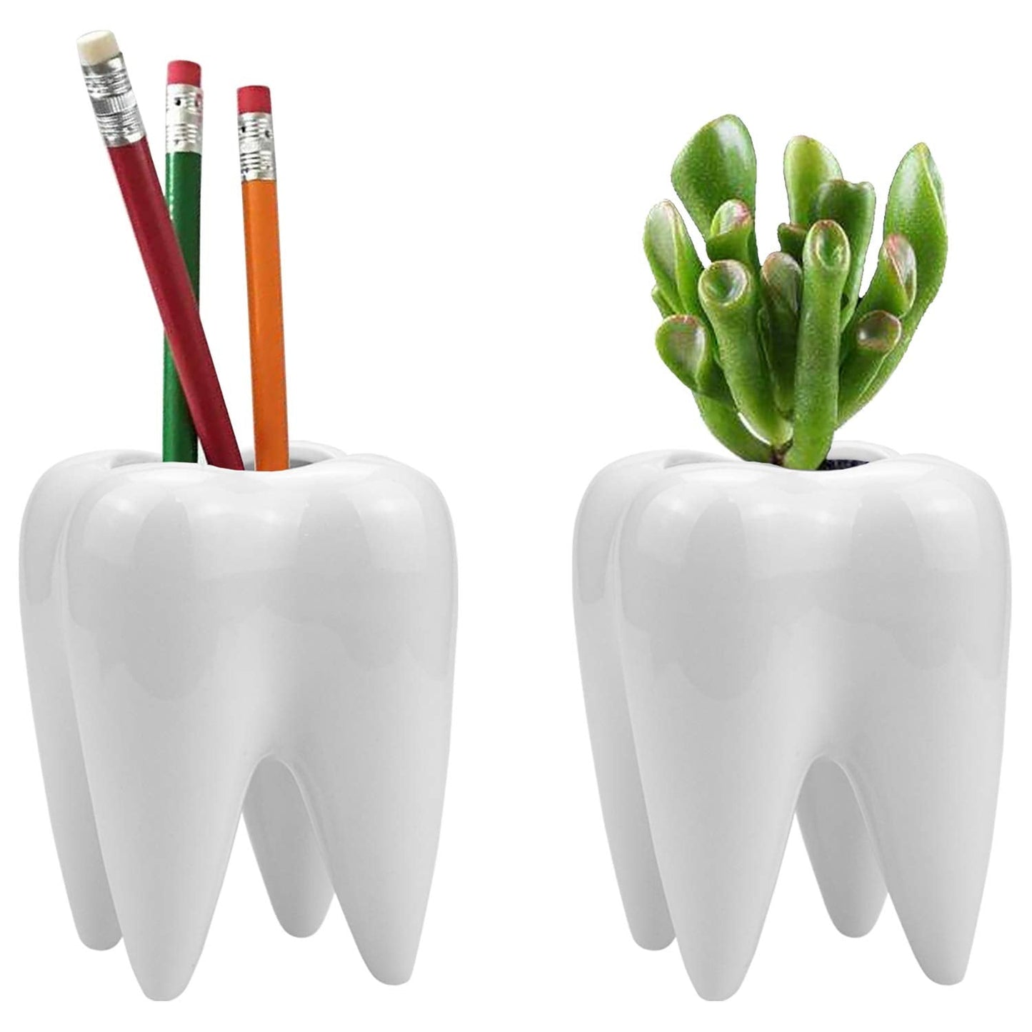 Hedume 6 Pack Tooth Shaped Planter Pots, Small Cute Flower Plant Containers, Mini Ceramic Succulent Planter Pots, Creative Pen Pencil Holder for Desk Decor