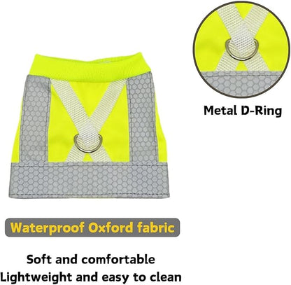 Bird Harness and Leash - Adjustable Parrot Training Flight Harness Vest with Reflective Strip Nylon Training Rope for Medium Large Bird Parrot Cockatiel Monk Parakeet Sun Conure (L)