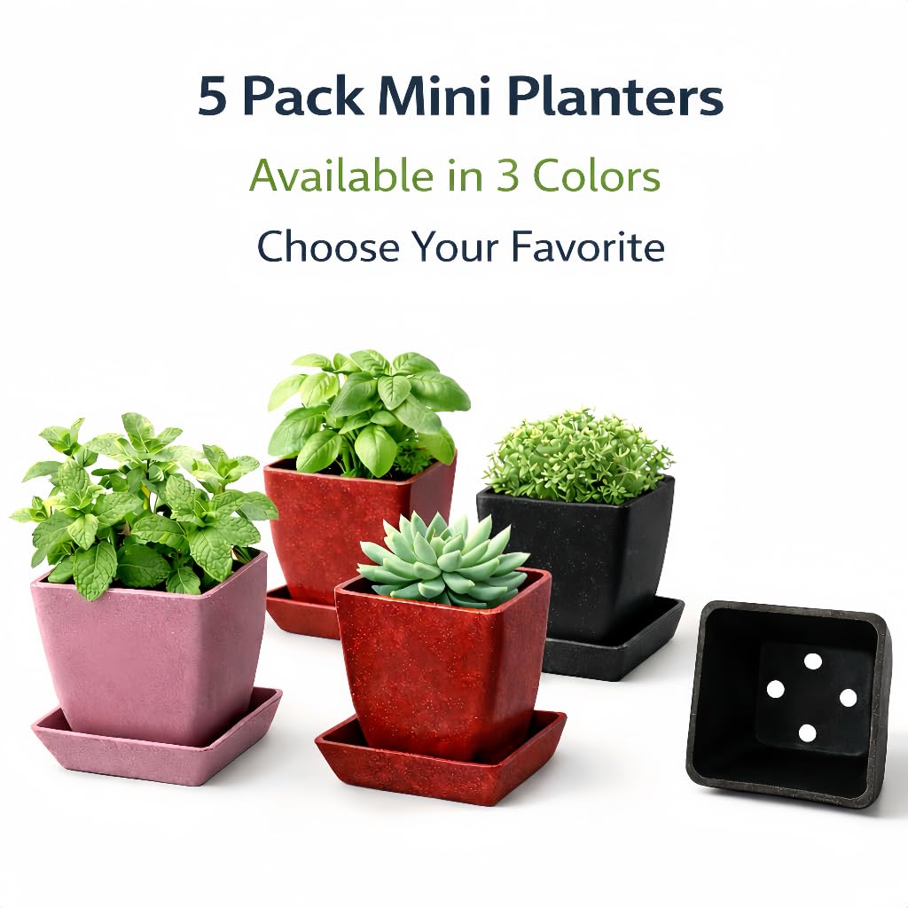 5 Pack 3.5 Inch Small Planter Pots with Drainage Holes and Saucers, Matte Square Indoor Plant Pots for Succulents and Herbs, Lightweight Modern Planters for Kitchen Herb Garden, Windowsill or Desk