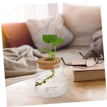 Cabilock 2Pcs Glass Terrarium Vases for Hydroponic Plants Stylish Desktop Planter for Home Office Decor Design for Floral Arrangements Present Ideas Opening