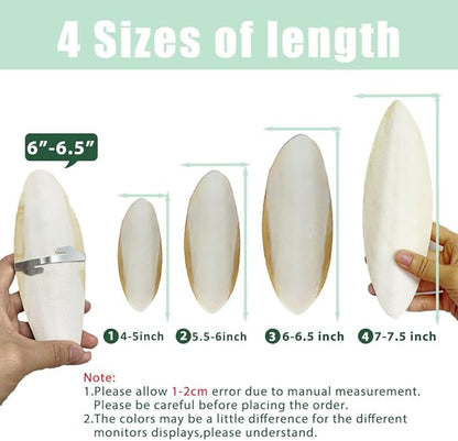 Natural Cuttlebone for Birds Parakeets Canaries Cockatiels Small Conures Mynahs Toucans African Greys All Parrots Snails Totoise (7-7.5 inch,6PCS)