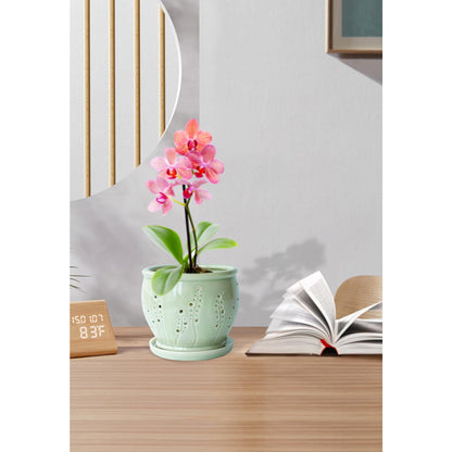 Ceramic Orchid Pot 6.3 Inch, Orchid Pots with Holes, Large Plant Pot for Repotting, Ventilation Holes Breathable for Roots, Durable Ice-Cracked Glaze Ceramic Planter Pot (Grass Green)
