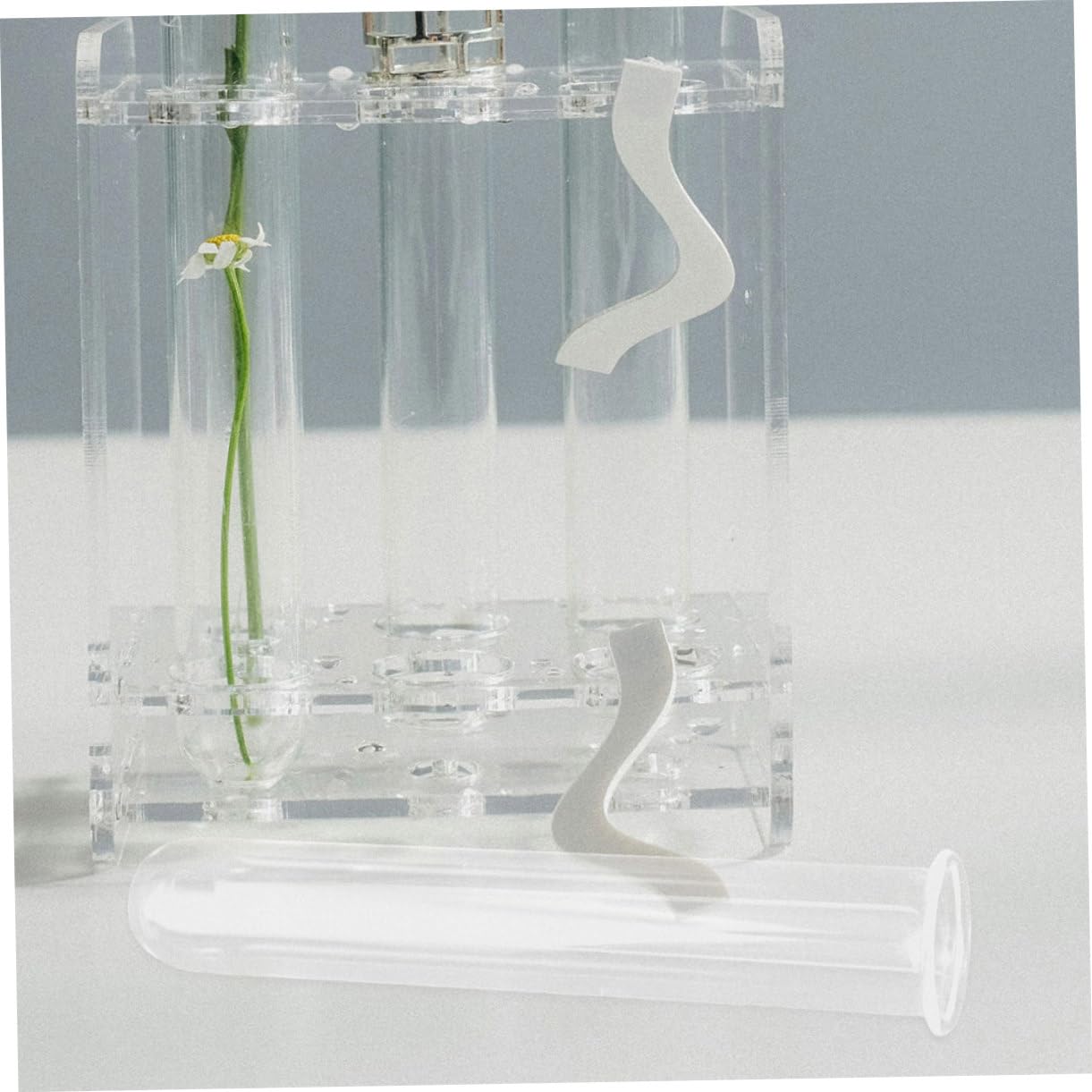 Ciieeo 6pcs Glass Test Tube Vase for Air Plant Terrarium Propagation Jars for Plants Glass Tube Vase Elegant Design for Home Office