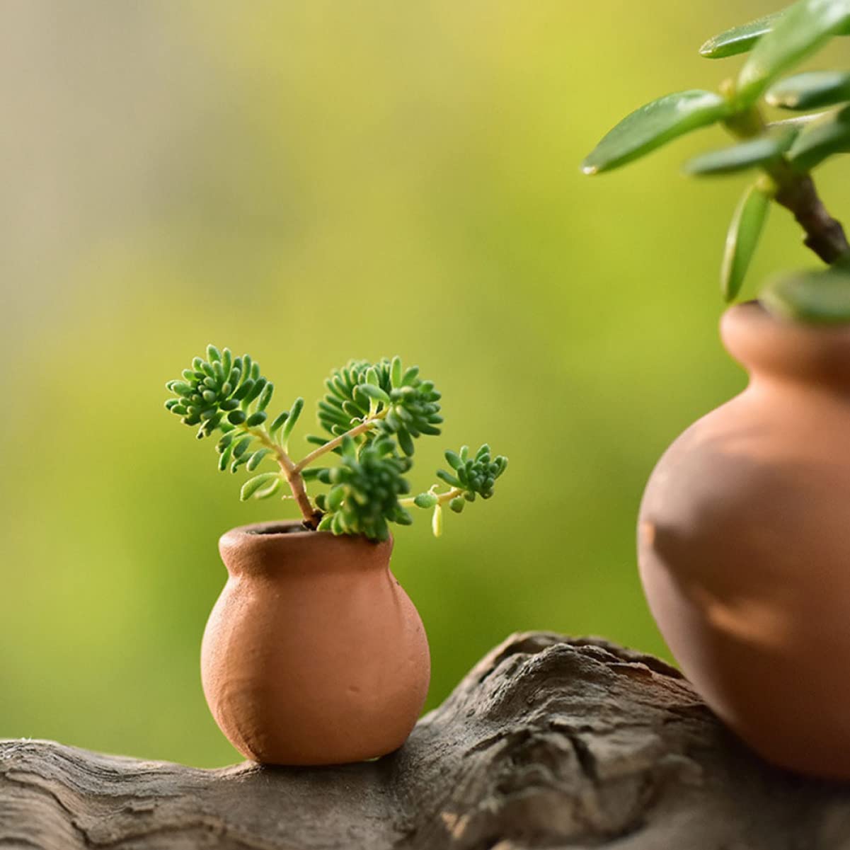HANABASS 6pcs Mini Terracotta Pots Miniature Flower Pots Compact Containers for Crafts DIY Garden Plants Office Decor Mini House Accessories 1.5X1.5 Inch