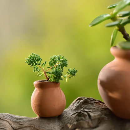 HANABASS 6pcs Mini Terracotta Pots Miniature Flower Pots Compact Containers for Crafts DIY Garden Plants Office Decor Mini House Accessories 1.5X1.5 Inch