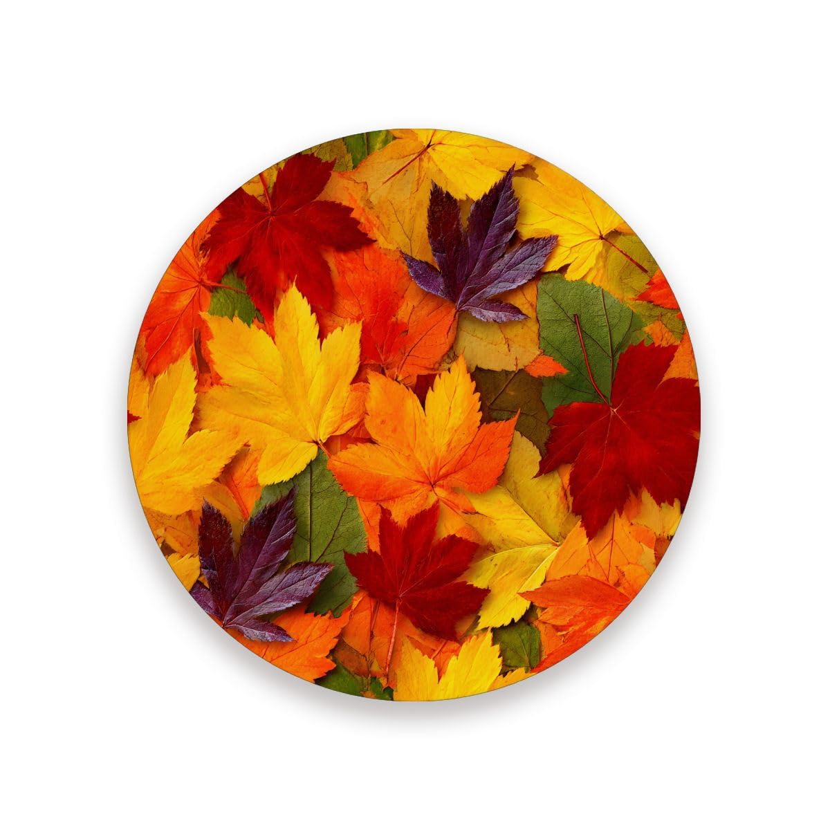 Autumn Maple Drink Coaster, Fall Yellow Leaves Round Drinks Coaster Set, Great Gifts Warming Presents Decor for Halloween Christimas Thanksgiving