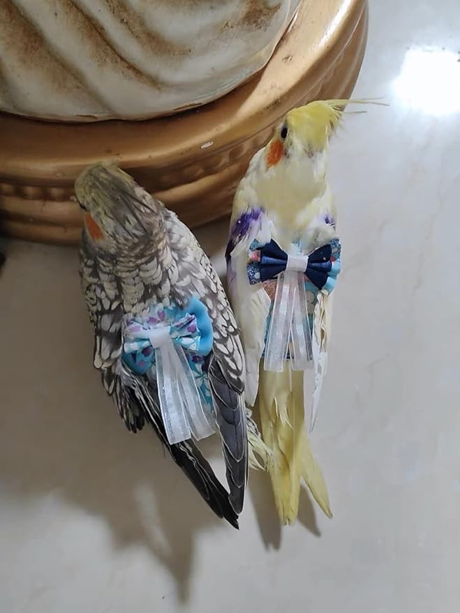 Bird Flight Suits Diapers, Parrot Flight Suits Diapers for Monk Parakeets, Cockatiels Flight Suits, Parrot Clothes, Bird Training Nappy Suit Liners Clothes (Large,Blue-C)