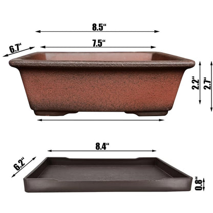 MUZHI Decorative Ceramic Bonsai Planter Pot 8.5 Inch with Tray, Breathable Unglazed Rectangle Terracotta Clay Pot for Tree Succulent Cactus Indoor Outdoor Red Brown