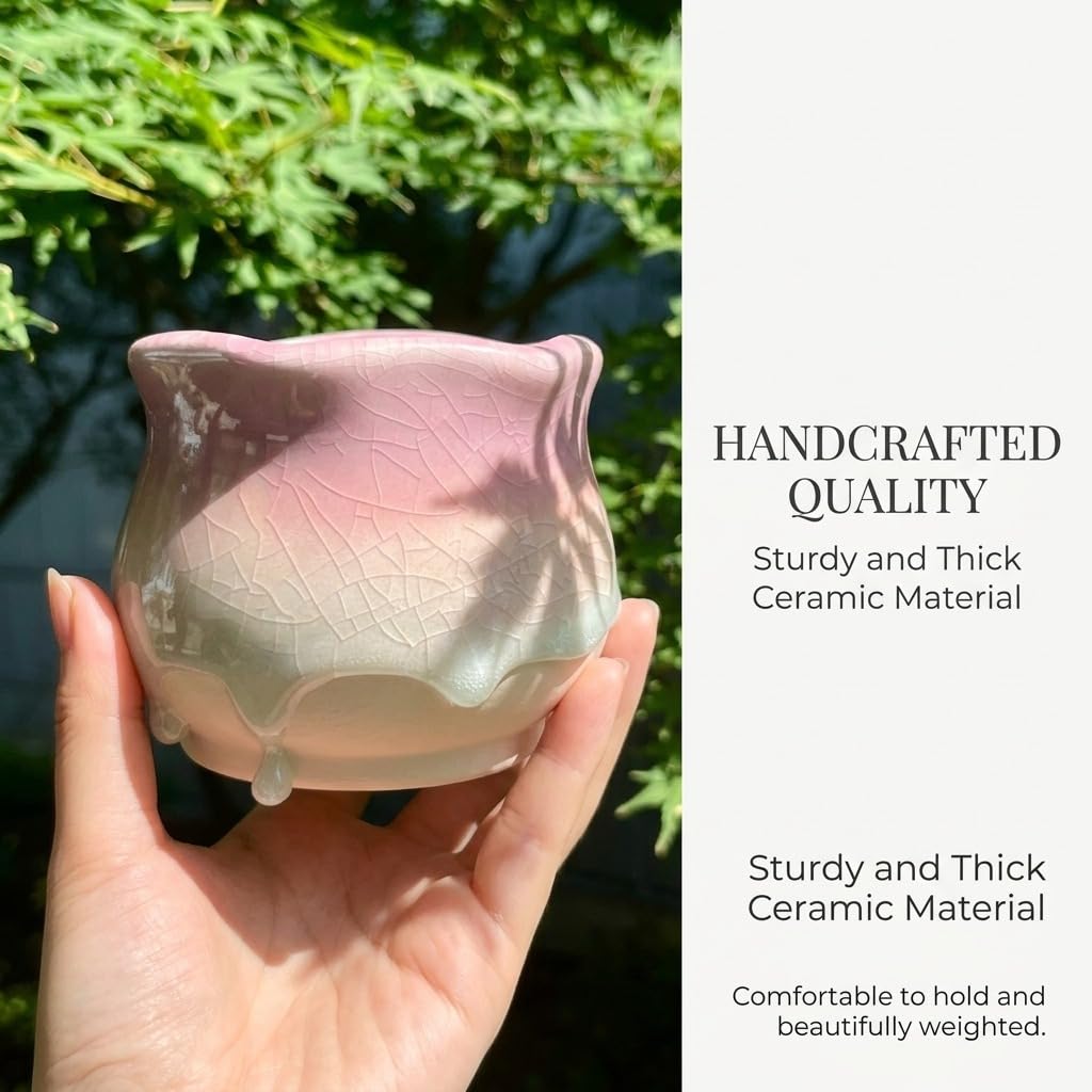 Togestar 6 Pack Ceramic Succulent Planters, 3.54" W × 3.35" H Gradient Crackle Glaze Flower Pots for Succulents, Cacti, Small Plants, Creative Gardening Decorative Planter Containers