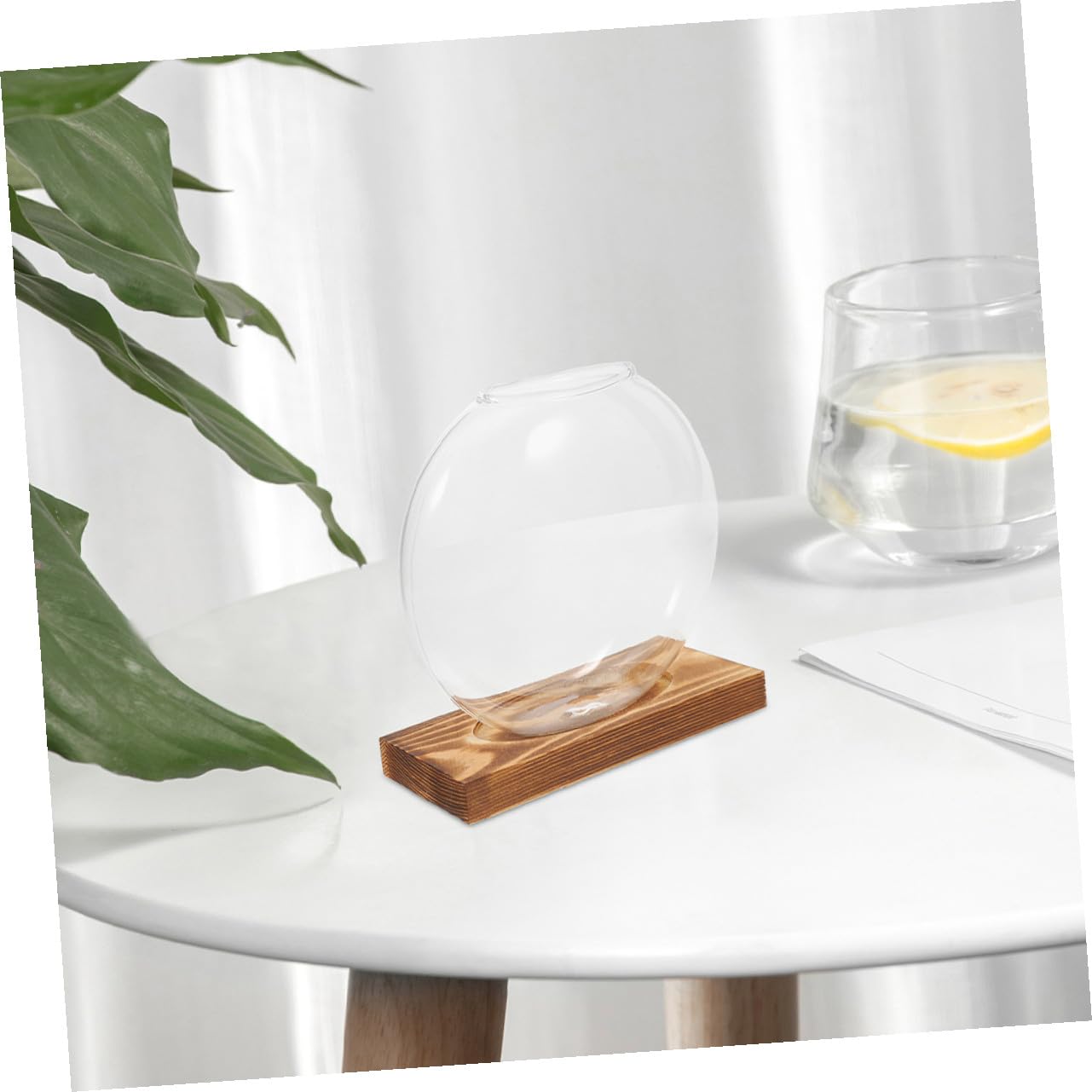 Sewroro 2pcs Hydroponic Glass Vases with Wooden Base, Propagation Stations for Indoor Plants, Terrarium Containers for Home Office Décor