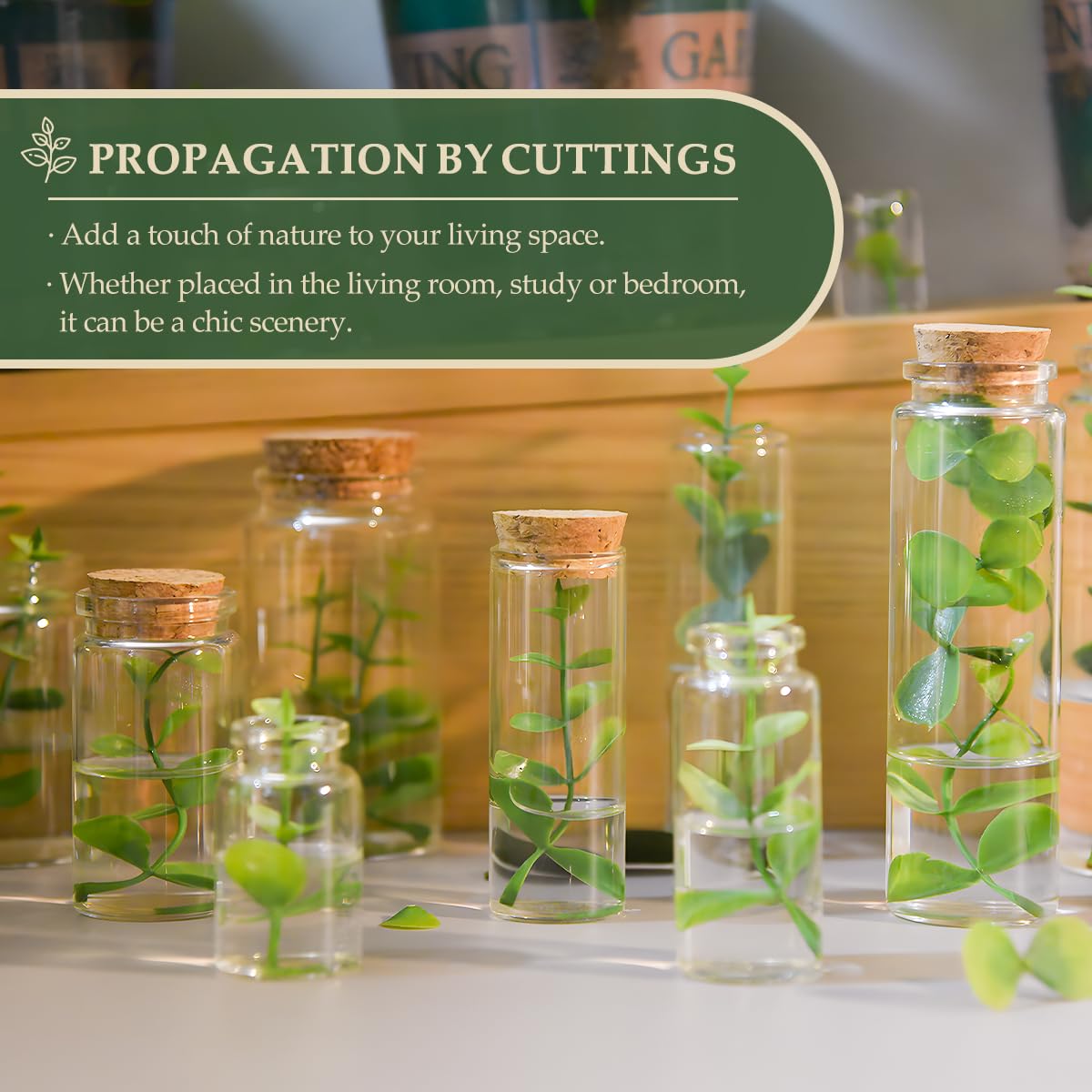 6-Pack 3.04 oz (90 ml) Glass Bottles with Cork Stoppers – for Spell Bottles, Spice Jars, DIY Party Favors, Travel Memories & Plant Propagation – Empty Recyclable Containers for Crafts, Kitchen,Décor