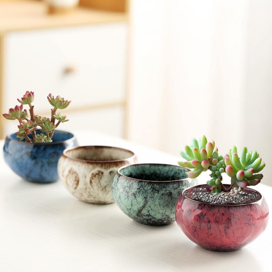 YYW Ceramic Plants Pots 3 Inch Set of 4 Flower Pots with Drainage and Bamboo Tray for Indoor/Outdoor Small House Plants,Foliage Plant (Set 1)