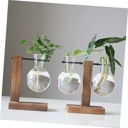 Kisangel Hydroponic Glass Flower Vase with Wooden Stand 2pcs Planter Pot for Indoor Plants Modern Terrarium for Home and Office Decoration