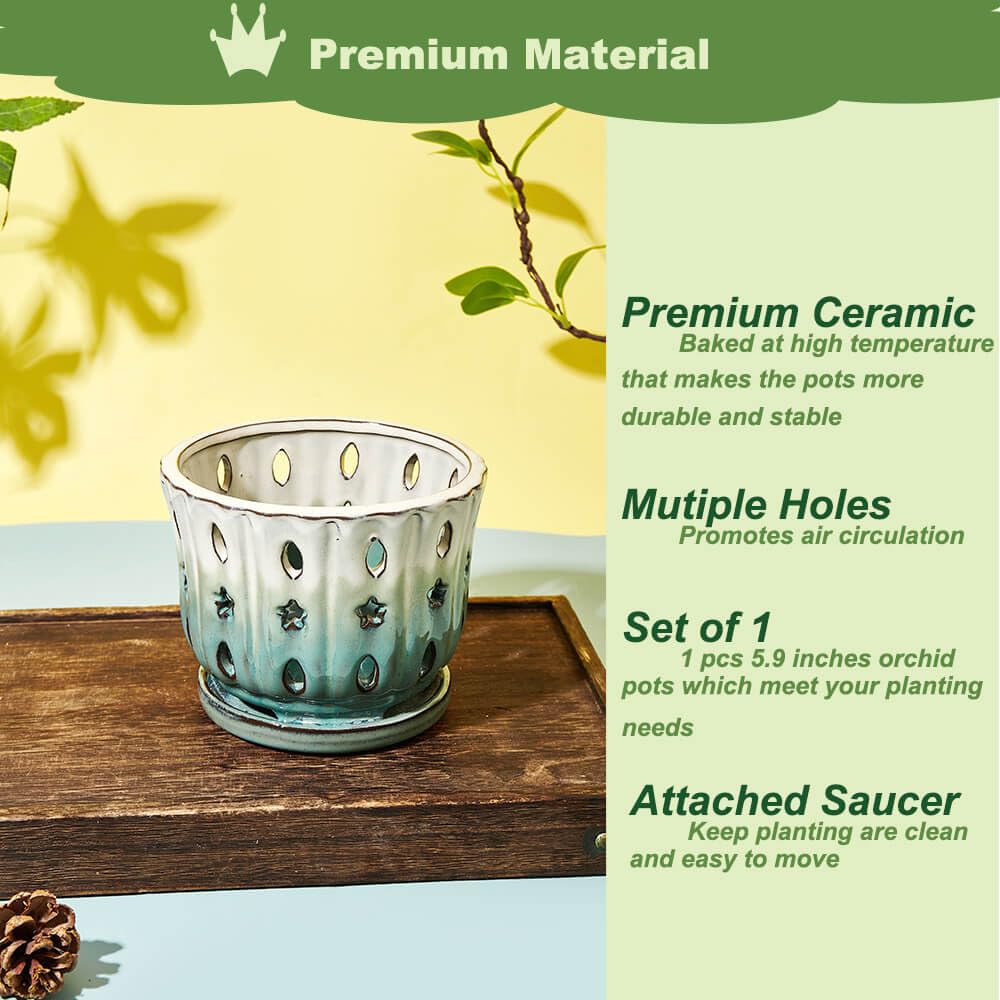 NiSevenLiving Orchid Pots with Holes Attached Saucers 6 Inches - 1 Pcs Small Ceramic Pots for Repotting, Decorative Ceramic Orchid Planter with Hole for Healthy Root Growth White Over Green
