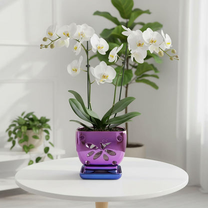 Grdthzey Orchid Pots with Holes Square Ceramic Orchid Planter Pots 5.5 inch (Purple)