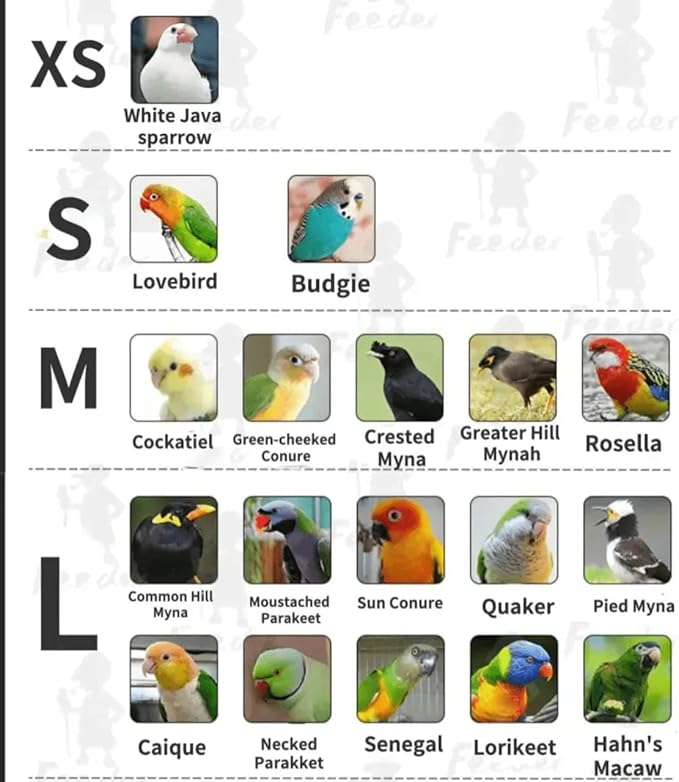 Bird Flight Suits Diapers, Parrot Flight Suits Diapers for Monk Parakeets, Cockatiels Flight Suits, Parrot Clothes, Bird Training Nappy Suit Liners Clothes (XS, Red-D)