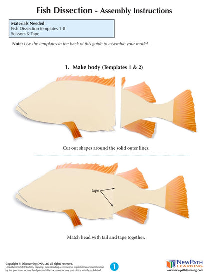 NewPath Atlantic Perch Fish Dissection 3-D Paper Model Making Kit - Individual Student Edition (17-7747)