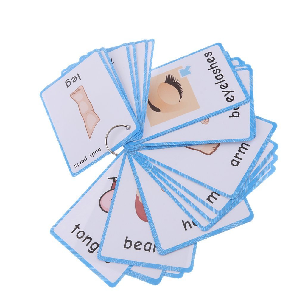 Set of(Body Parts+Illness) Flash Cards for Toddlers | Kids Learning Montessori Pocket Cards Toys | Perfect for Pre-K Decorations Background Wall Stickers,Teacher/Autism Therapists Tools
