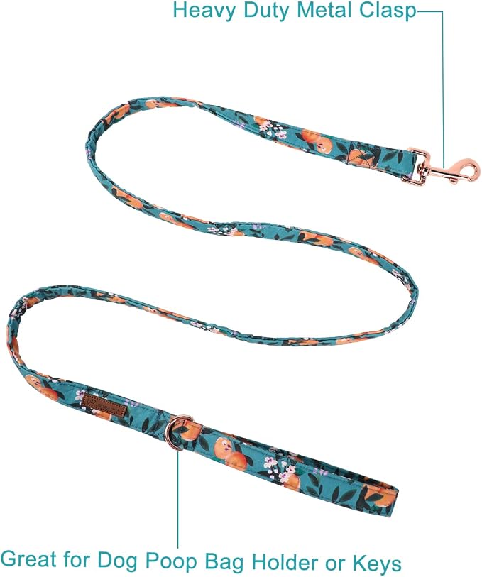 Summer Dog Leash Match Dog Collar, Sturdy Durable Peach Cotton Dog Leash, Summer Dog Training Leash for Small Medium Large Dog, Summer Dog Leash