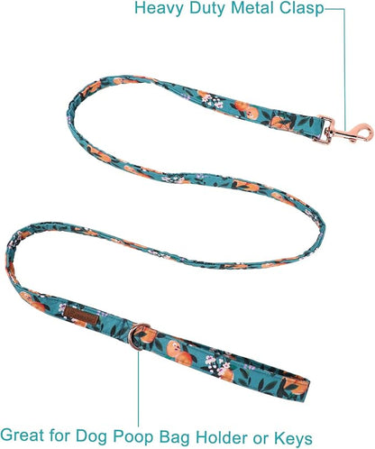 Summer Dog Leash Match Dog Collar, Sturdy Durable Peach Cotton Dog Leash, Summer Dog Training Leash for Small Medium Large Dog, Summer Dog Leash