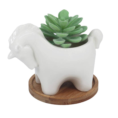 Gemseek Cute Unicorn Succulent Planter Pot with Drainage Tray, Small White Ceramic Cactus Flower Container, Animal Shaped Indoor Air Plants Holder