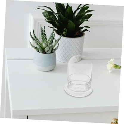 TOPPERFUN 1Pc Plant Bottle Chic Microlandscape Glass Terrarium for Home Decoration and for Plant Lovers