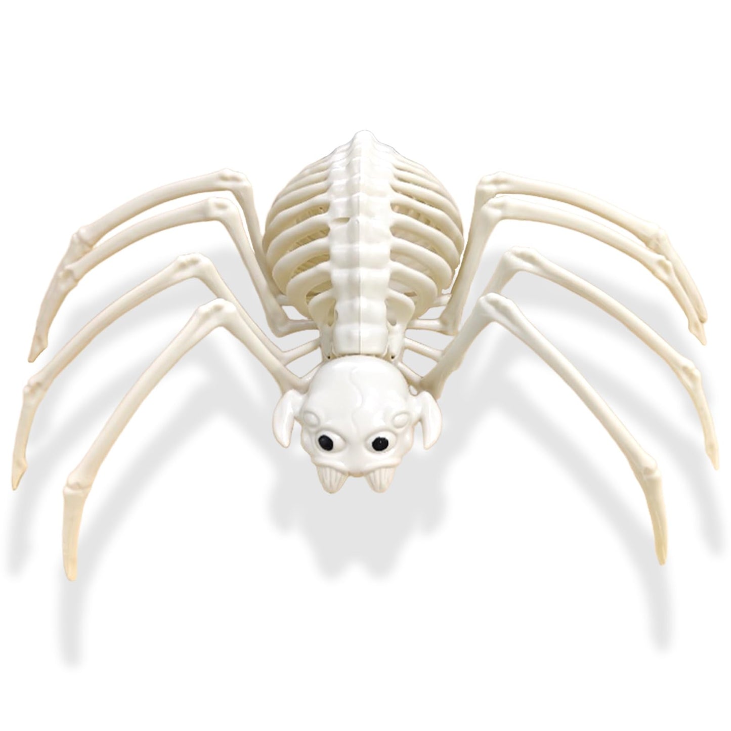 mogenda Large Realistic Spider Skeleton,Horrible Spider Bone,Vivid Spider Skeleton Model Halloween Decorations for Yard Garden Lawn,Haunted House Props(Spider-1p)