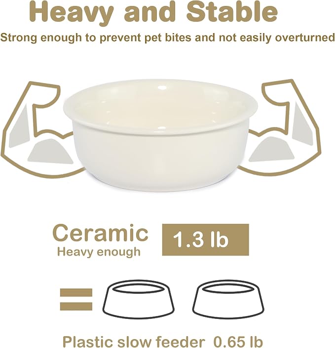Wordcam 28oz Ceramic Dog Bowls, Durable Modern Pet Food and Water Bowls for Small Medium Dogs and Cats, Replacement Bowls for Wordcam SS01 Model (Cream White)
