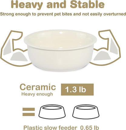 Wordcam 28oz Ceramic Dog Bowls, Durable Modern Pet Food and Water Bowls for Small Medium Dogs and Cats, Replacement Bowls for Wordcam SS01 Model (Cream White)