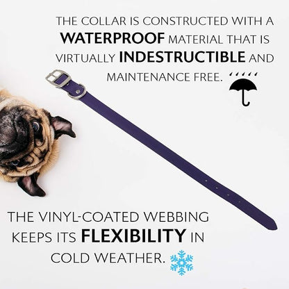Regal Dog Products Large Purple Waterproof Dog Collar and Leash Set | Heavy Duty Double Buckle & D Ring - 5'ft Leash | Adjustable Biothane Dog Collar | Chew Resistant Waterproof Collar for Dogs