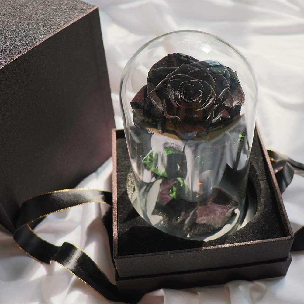 Preserved Roses Black Roses in Glass Dome, Medium, Preserved Flowers for Women