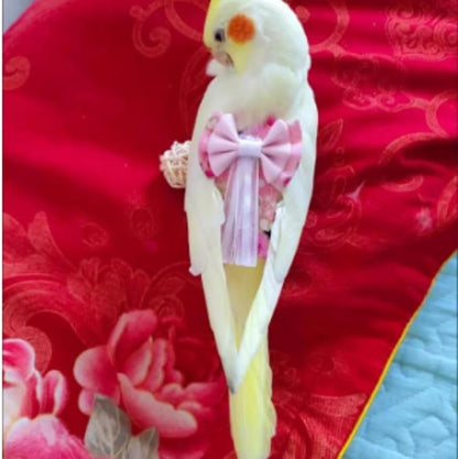 Bird Diaper Cockatiel Clothes Flight Suite, Reusable Parrot Nappy with Waterproof Inner Layer, Cute Pigeon Pants Urine Wet Suit Costume for Conure Macaw (Grey,XL)