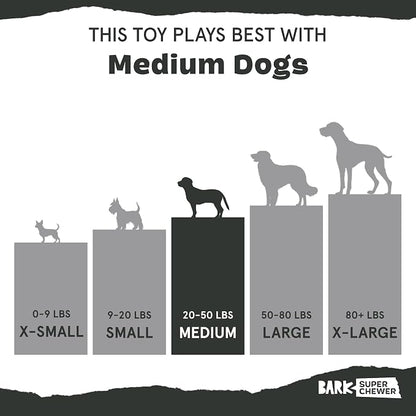 Barkbox Jelly Fetch Dog Toy for Medium Dogs – Perfect for Tug and Fetch Play, Durable Design with Strong Nylon Straps for Long-Lasting Fun