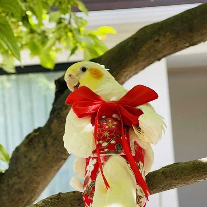 Bird Diaper Parrot Washable Diapers, Parrot Flight Suit, Reusable Nappies for Parakeet Cockatiel Mini Macaw Budgie Conure Lovebird (Purple,M)