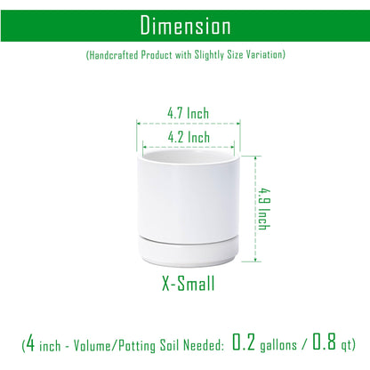 D'vine Dev Set of 2 Plants Pot, 4.7 Inch Ceramic Planter Pot for Plants with Drainage Hole and Saucer, White, 94-V-B-1