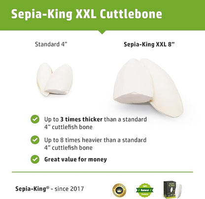 Sepia King - Extra Large - 100% Natural Calcium Supplement - Premium Cuttlebone Perfect for Birds, Tortoises, Snails, Reptiles - Pack of 3