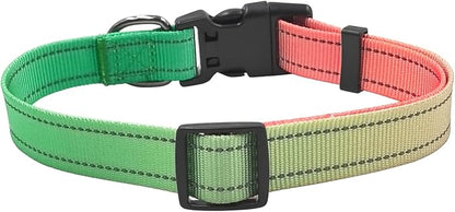 Dog Collar Leash Set, Gradient Color, with Safety Reflective Strips, 5 ft Matching Leash, Neoprene Padded Handle, Adjustable 4 Sizes for Small Medium Large Dogs.(L, Green Orange)