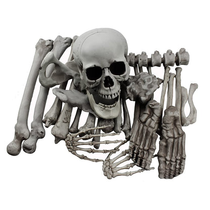 XONOR 28 Pieces Skeleton Bones and Skull for Halloween Decor or Spooky Graveyard Ground Decoration (28PCS)
