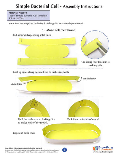 NewPath Simple Bacterial Cell 3-D Paper Model Making Kit - Individual Student Edition (24-7730)