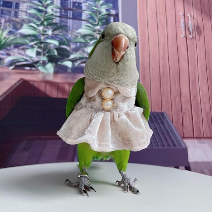 Bird Costume Bird Diaper Flight Suit Parrot Velvet Fleece Skirt Clothes Cosplay Photo Prop for Conure Lovebird Parakeet Cockatiel Macaw Small Animals Apparel (White,Sulphur-Crested Cockatoo)