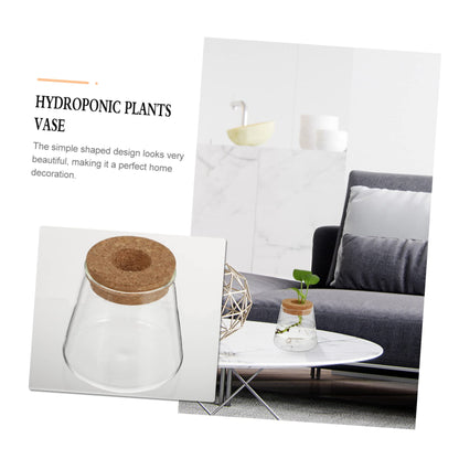 Garneck 2Pcs Hydroponic Plant Vases Clear Glass Terrarium Garden Decoration for Home Office Floral Arrangement and Nature Lovers Gift
