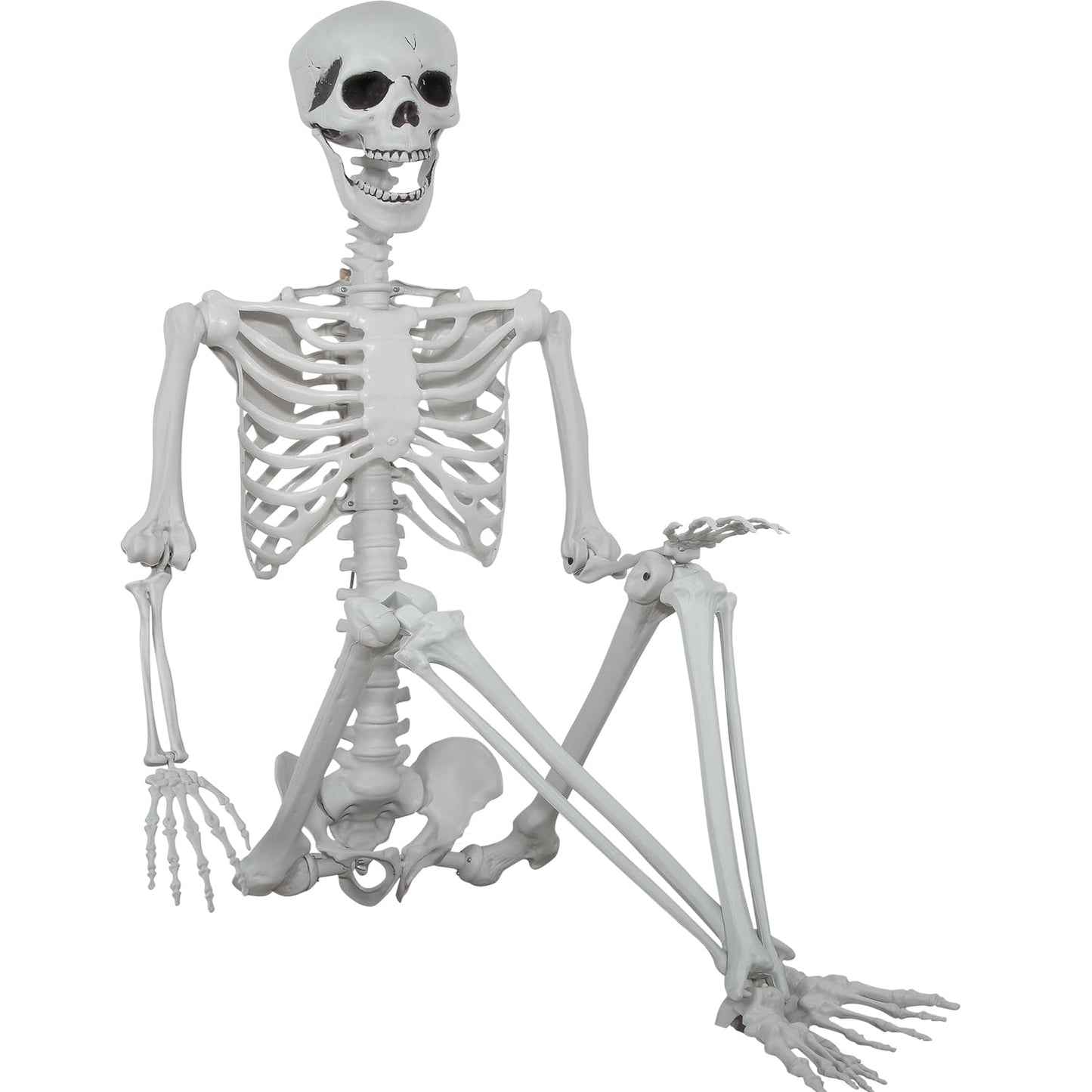 5.9ft Halloween Life Size Skeleton Realistic Full Body Skeletons Plastic Human Bones with Movable Joints for Halloween Props Spooky Party Decoration
