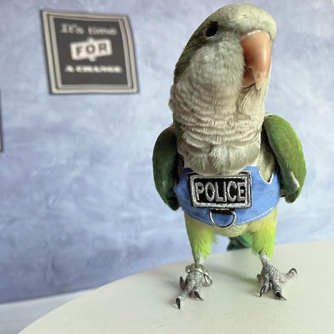 Bird Flight Harness Vest, Parrot Flight Suit with Leash, Bird Flying Clothes with Rope and Handle for Outdoor Activities (Without Leash,Cockatiel) (Without, 2XL)