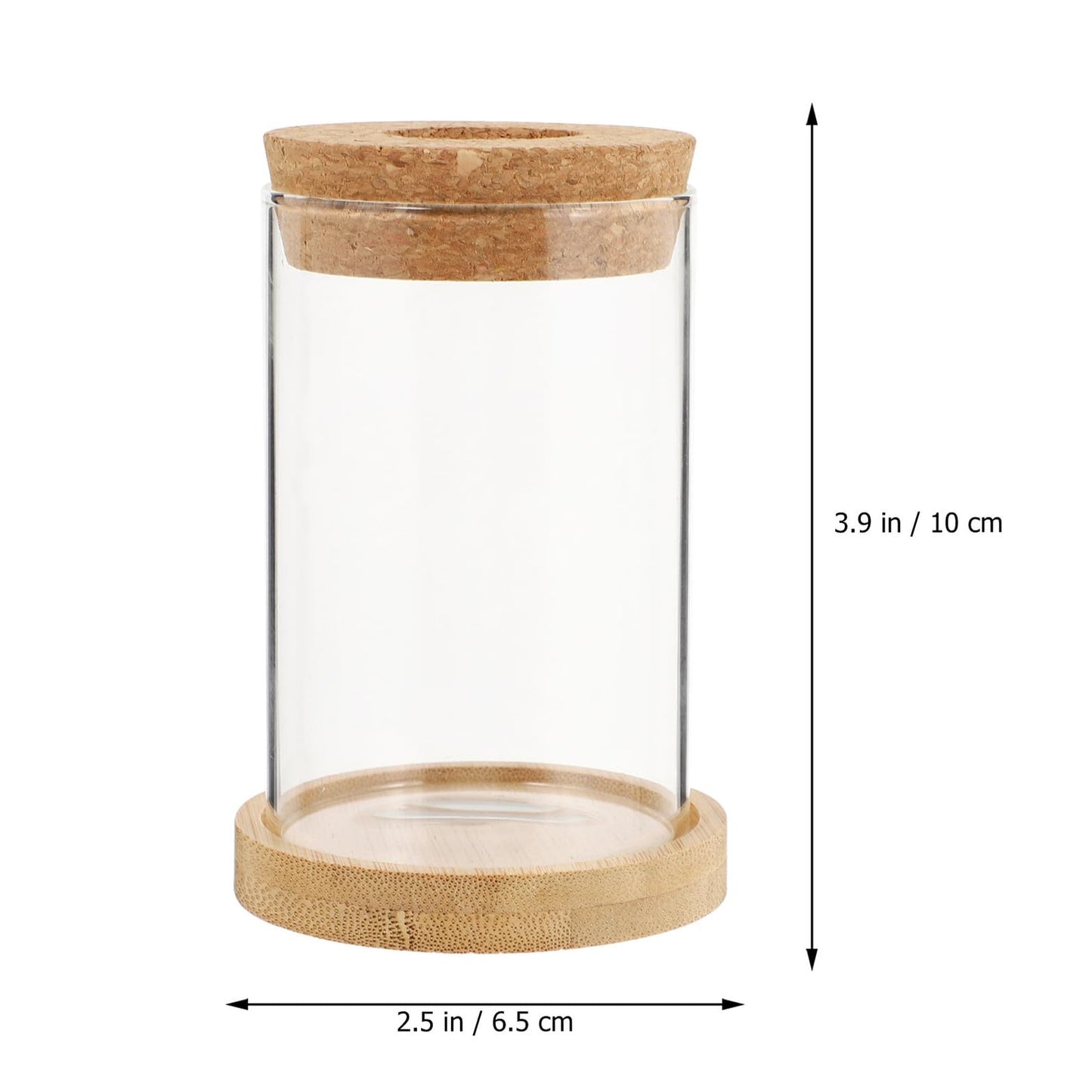Artibetter 2pcs Hydroponic Glass Plant Vases with Stand, 6.5x10 Inch Desktop Garden Decoration Terrarium Containers for Office and Home Hydroponics