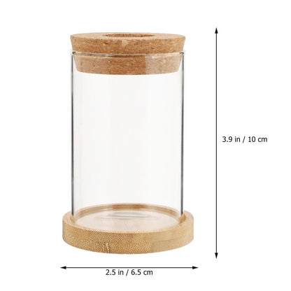 Artibetter 2pcs Hydroponic Glass Plant Vases with Stand, 6.5x10 Inch Desktop Garden Decoration Terrarium Containers for Office and Home Hydroponics