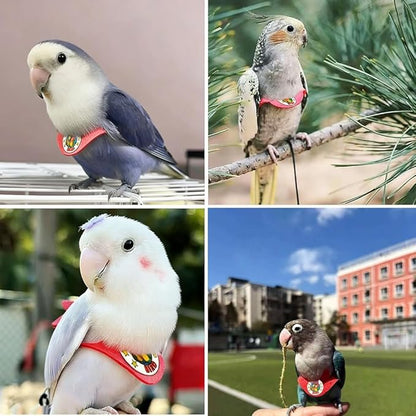 Adjustable Bird Harness & Leash Set for Small Birds,FitsBudgie,Parakeets, Conures, Cockatiels,Green Cheek,Quaker Parrots(Red, L) Z6350-4
